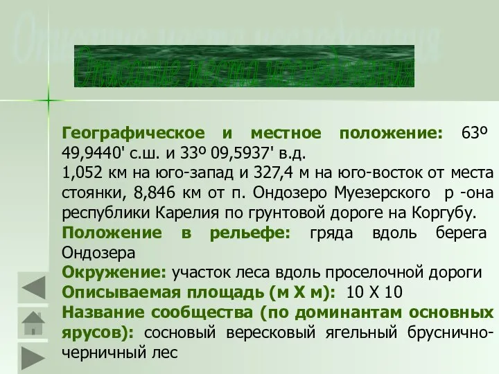 Географическое и местное положение: 63º 49,9440' с.ш. и 33º 09,5937' в.д.