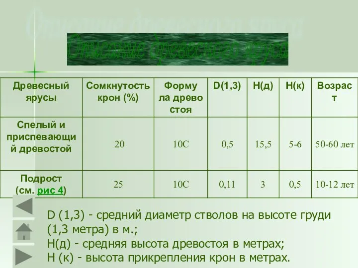 Описание древесного яруса D (1,3) - средний диаметр стволов на высоте