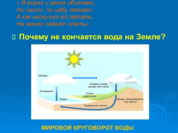 « В морях и реках обитает, Но часто по небу летает.