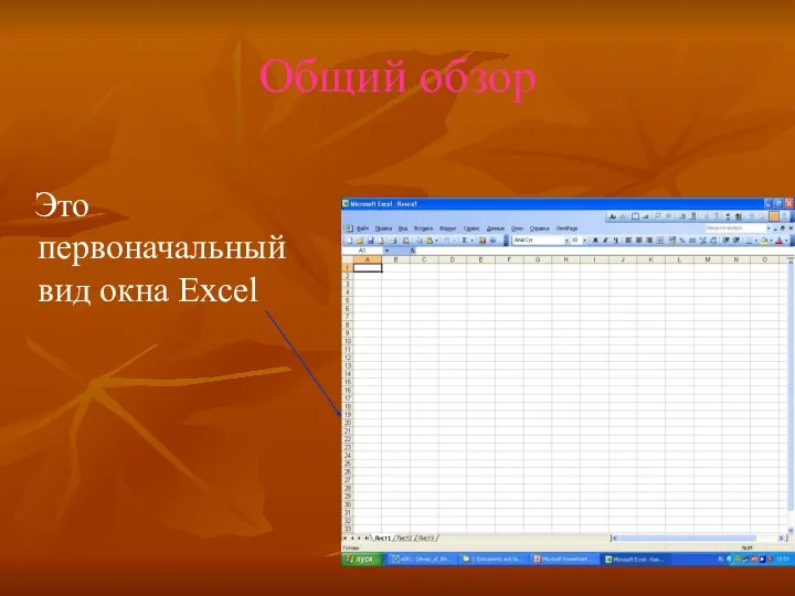 Общий обзор Это первоначальный вид окна Excel
