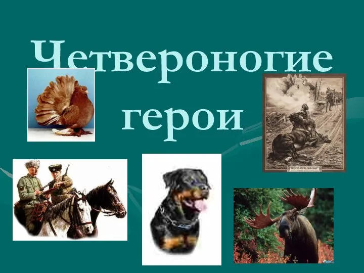 Четвероногие герои