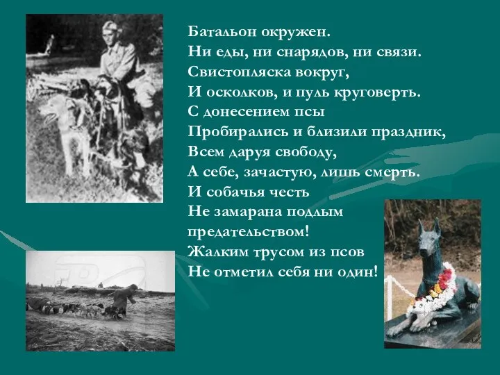 Батальон окружен. Ни еды, ни снарядов, ни связи. Свистопляска вокруг, И