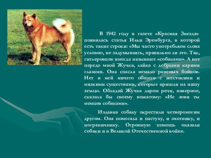 В 1942 году в газете «Красная Звезда» появилась статья Ильи Эренбурга,