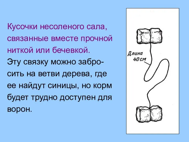 Кусочки несоленого сала, связанные вместе прочной ниткой или бечевкой. Эту связку