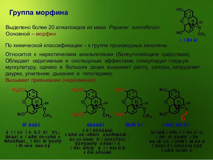 Группа морфина Выделено более 20 алкалоидов из мака Papaver somniferum .