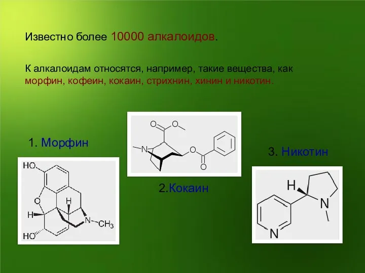 К алкалоидам относятся, например, такие вещества, как морфин, кофеин, кокаин, стрихнин,