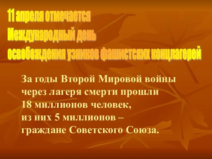 11 апреля отмечается Международный день освобождения узников фашистских концлагерей За годы