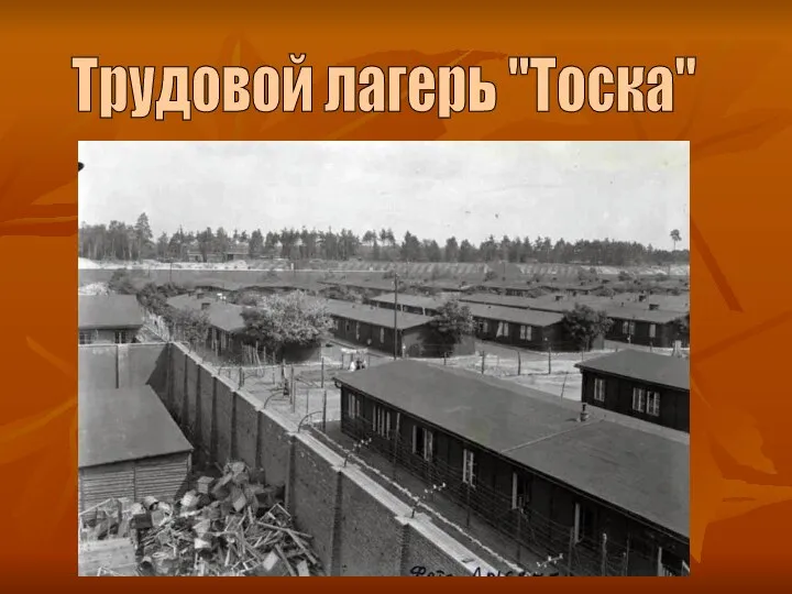 Трудовой лагерь "Тоска"