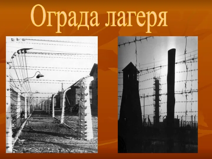 Ограда лагеря