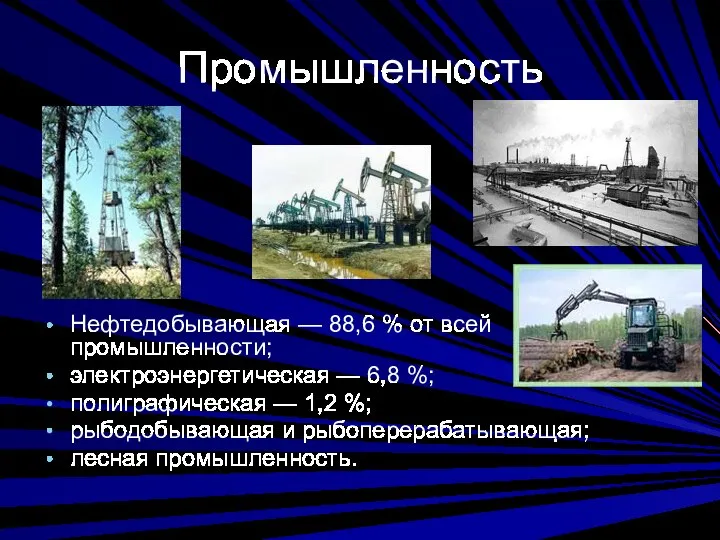 Промышленность Нефтедобывающая — 88,6 % от всей промышленности; электроэнергетическая — 6,8