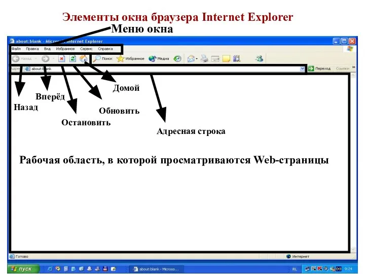 Элементы окна браузера Internet Explorer Меню окна Назад Вперёд Домой Обновить