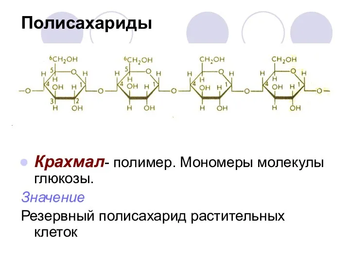 Крахмал- полимер. Мономеры молекулы глюкозы. Значение Резервный полисахарид растительных клеток Полисахариды