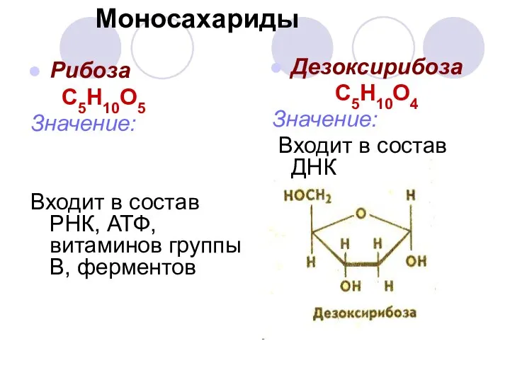 Моносахариды Рибоза С5Н10О5 Значение: Входит в состав РНК, АТФ, витаминов группы