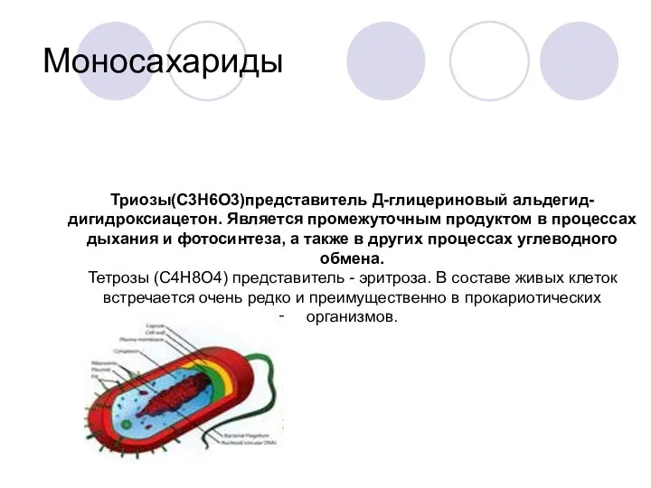 Моносахариды Триозы(С3Н6О3)представитель Д-глицериновый альдегид- дигидроксиацетон. Является промежуточным продуктом в процессах дыхания