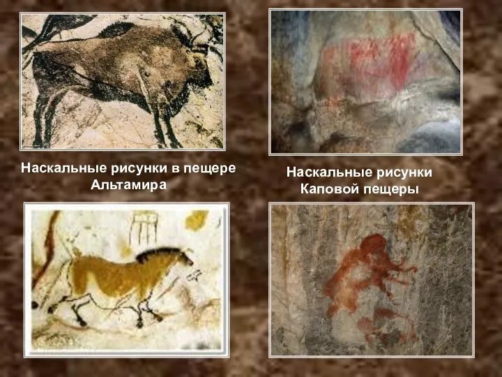 Наскальные рисунки в пещере Альтамира Наскальные рисунки Каповой пещеры