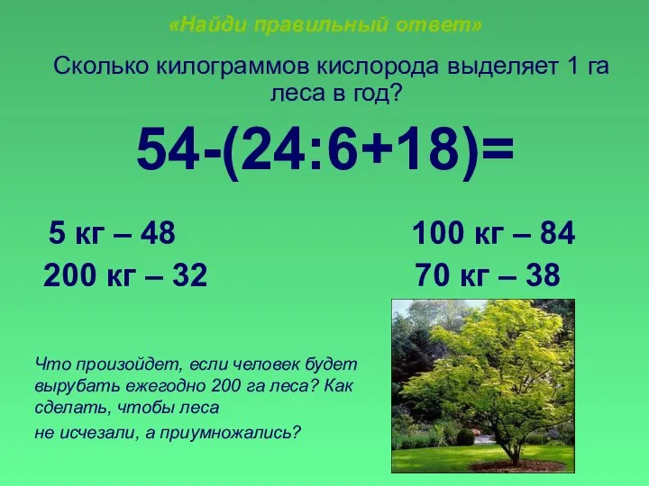 «Найди правильный ответ» Сколько килограммов кислорода выделяет 1 га леса в