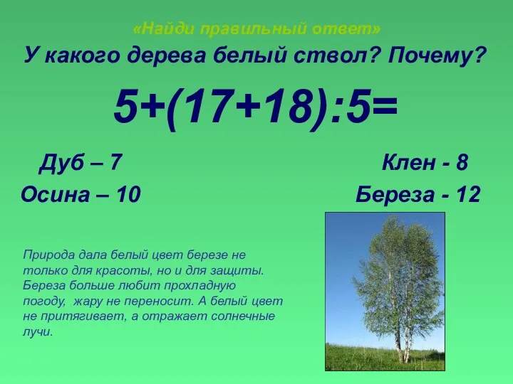 «Найди правильный ответ» У какого дерева белый ствол? Почему? 5+(17+18):5= Дуб