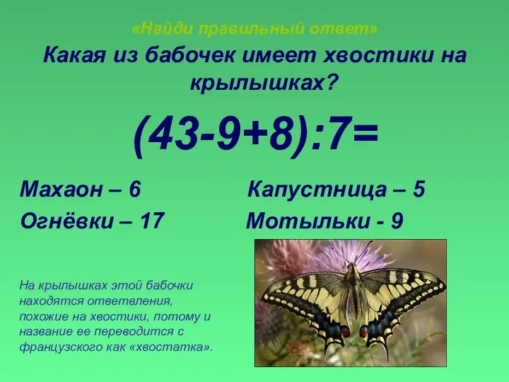 «Найди правильный ответ» Какая из бабочек имеет хвостики на крылышках? (43-9+8):7=