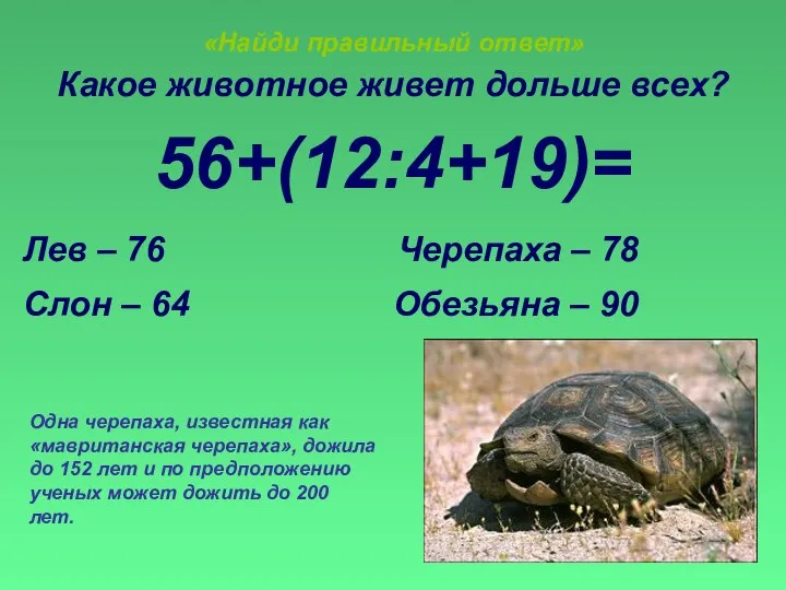 «Найди правильный ответ» Какое животное живет дольше всех? 56+(12:4+19)= Лев –