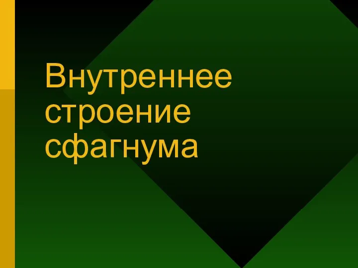 Внутреннее строение сфагнума