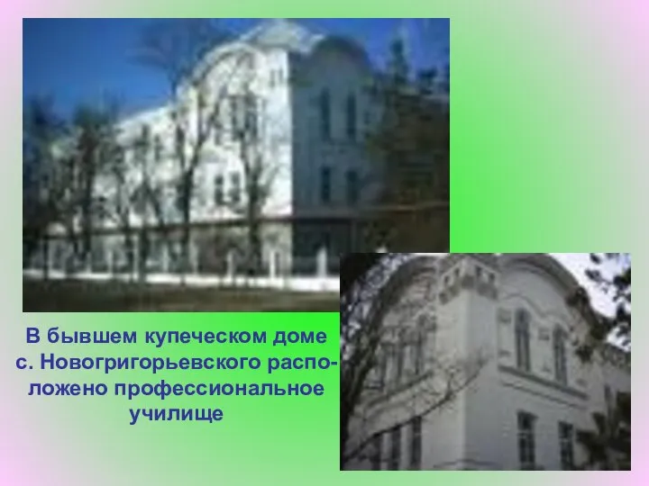 В бывшем купеческом доме с. Новогригорьевского распо- ложено профессиональное училище