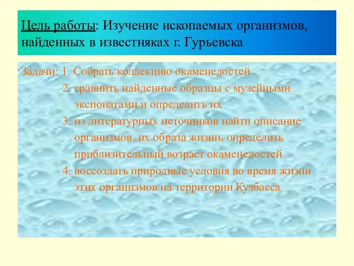 Цель работы: Изучение ископаемых организмов, найденных в известняках г. Гурьевска Задачи: