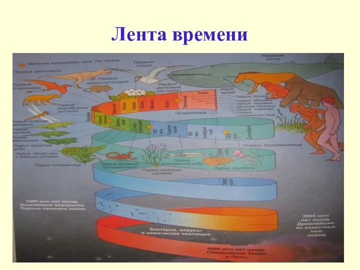 Лента времени