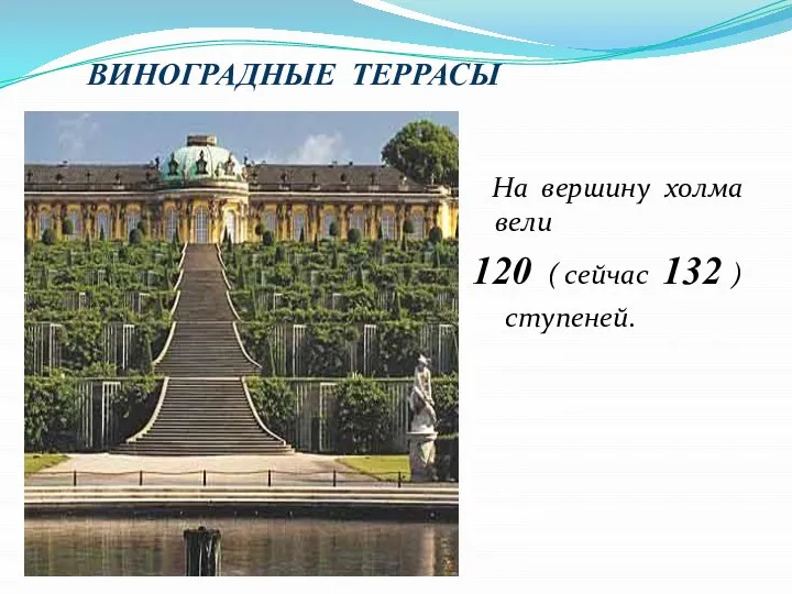 ВИНОГРАДНЫЕ ТЕРРАСЫ На вершину холма вели 120 ( сейчас 132 ) ступеней.