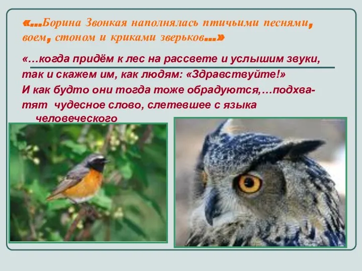 «…Борина Звонкая наполнялась птичьими песнями, воем, стоном и криками зверьков…» «…когда