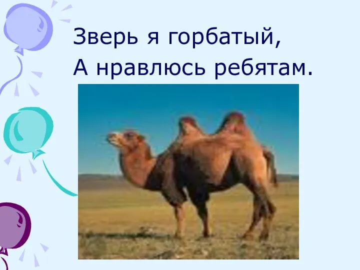 Зверь я горбатый, А нравлюсь ребятам.