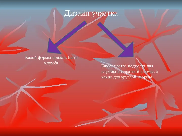 Дизайн участка Какой формы должна быть клумба Какие цветы подходят для