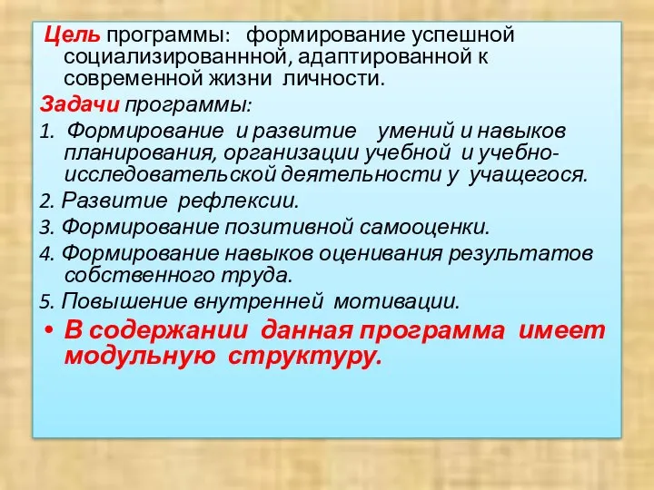 Цель программы: формирование успешной социализированнной, адаптированной к современной жизни личности. Задачи