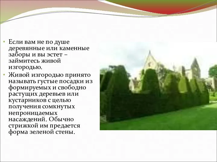 Если вам не по душе деревянные или каменные заборы и вы