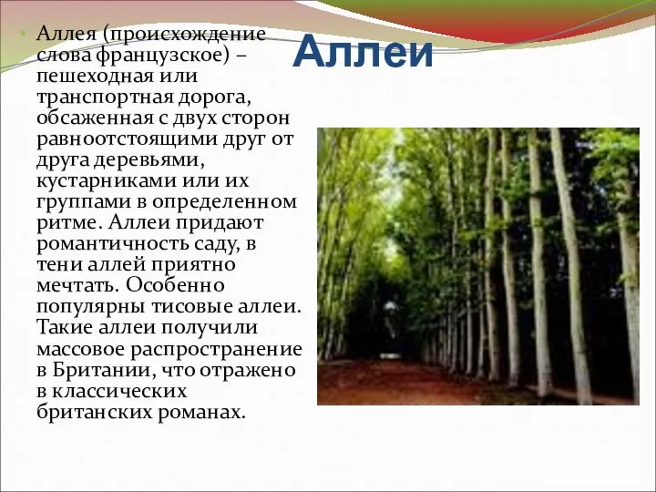 Аллеи Аллея (происхождение слова французское) – пешеходная или транспортная дорога, обсаженная