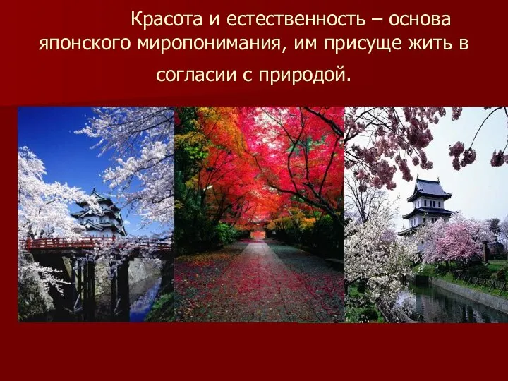 Красота и естественность – основа японского миропонимания, им присуще жить в согласии с природой.