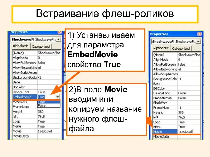 Встраивание флеш-роликов 1) Устанавливаем для параметра EmbedMovie свойство True 2)В поле