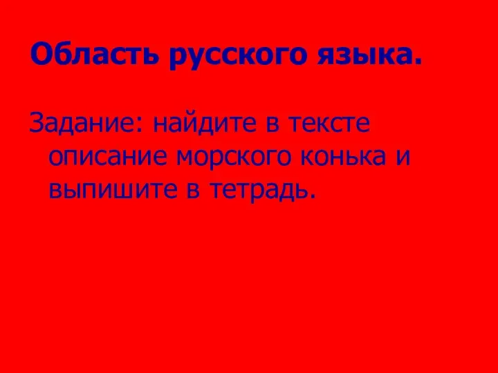 Область русского языка. Задание: найдите в тексте описание морского конька и выпишите в тетрадь.