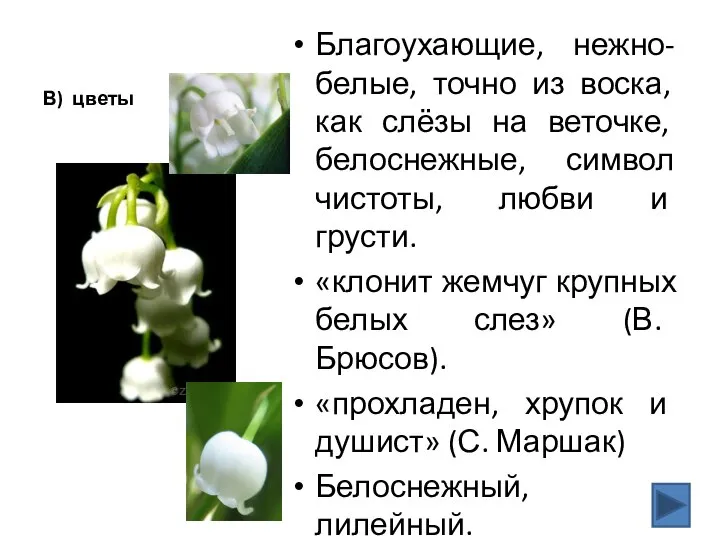 В) цветы Благоухающие, нежно-белые, точно из воска, как слёзы на веточке,
