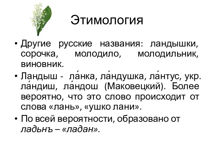 Этимология Другие русские названия: ландышки, сорочка, молодило, молодильник, виновник. Ландыш -