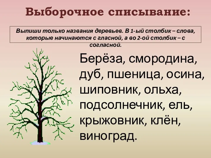 Выборочное списывание: Берёза, смородина, дуб, пшеница, осина, шиповник, ольха, подсолнечник, ель,