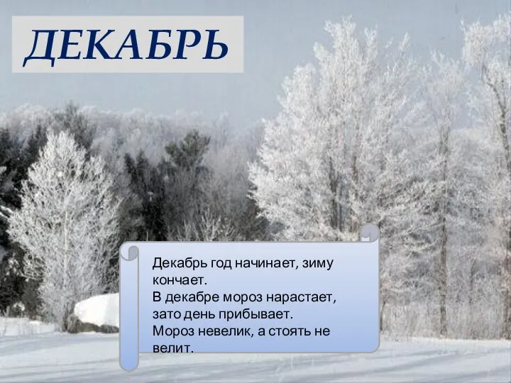 ДЕКАБРЬ Декабрь год начинает, зиму кончает. В декабре мороз нарастает, зато