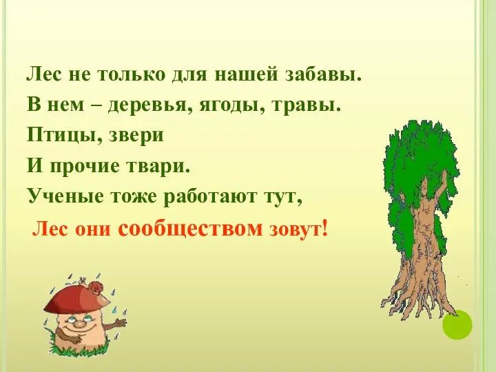 Лес не только для нашей забавы. В нем – деревья, ягоды,