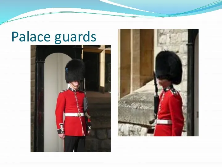 Palace guards