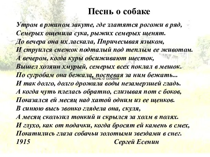 Песнь о собаке Утром в ржаном закуте, где златятся рогожи в