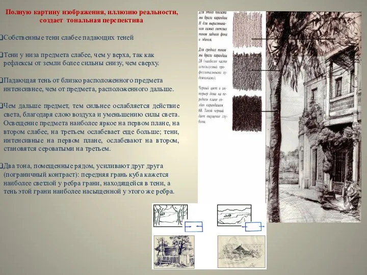 Полную картину изображения, иллюзию реальности, создает тональная перспектива Собственные тени слабее