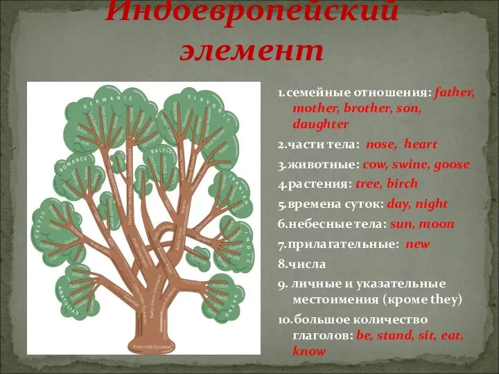 1.семейные отношения: father, mother, brother, son, daughter 2.части тела: nose, heart