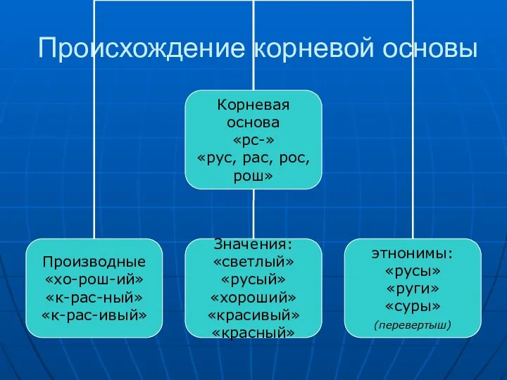 Происхождение корневой основы