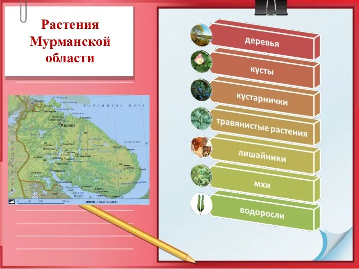 Растения Мурманской области