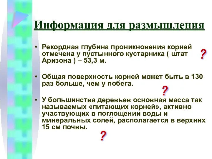 Информация для размышления Рекордная глубина проникновения корней отмечена у пустынного кустарника