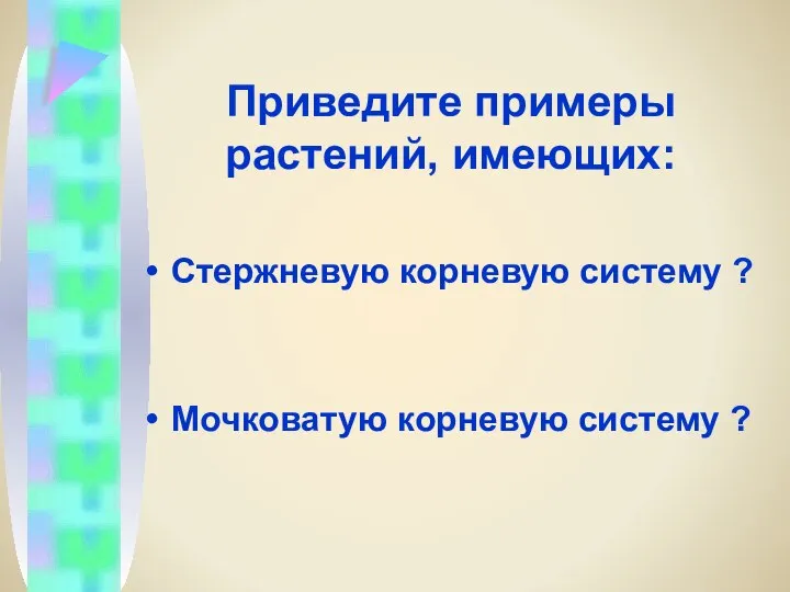 Приведите примеры растений, имеющих: Стержневую корневую систему ? Мочковатую корневую систему ?